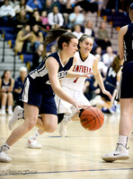 2019 Penfield Girls Basketball vs Mercy (Sectionals)-2800